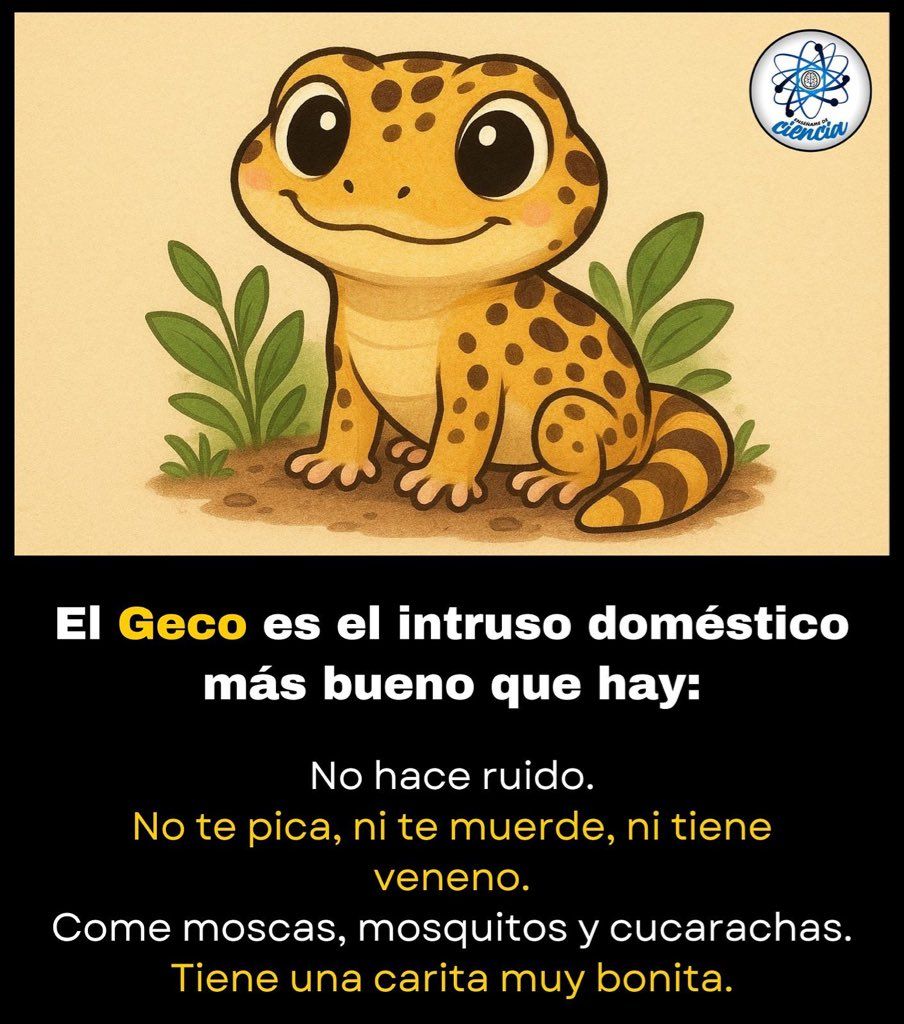 Raymundo Alejandro Cuevas Escalante-337