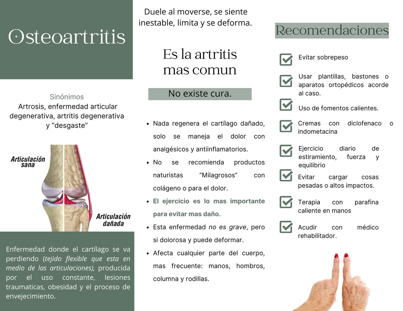 Livier Gómez Limón-7