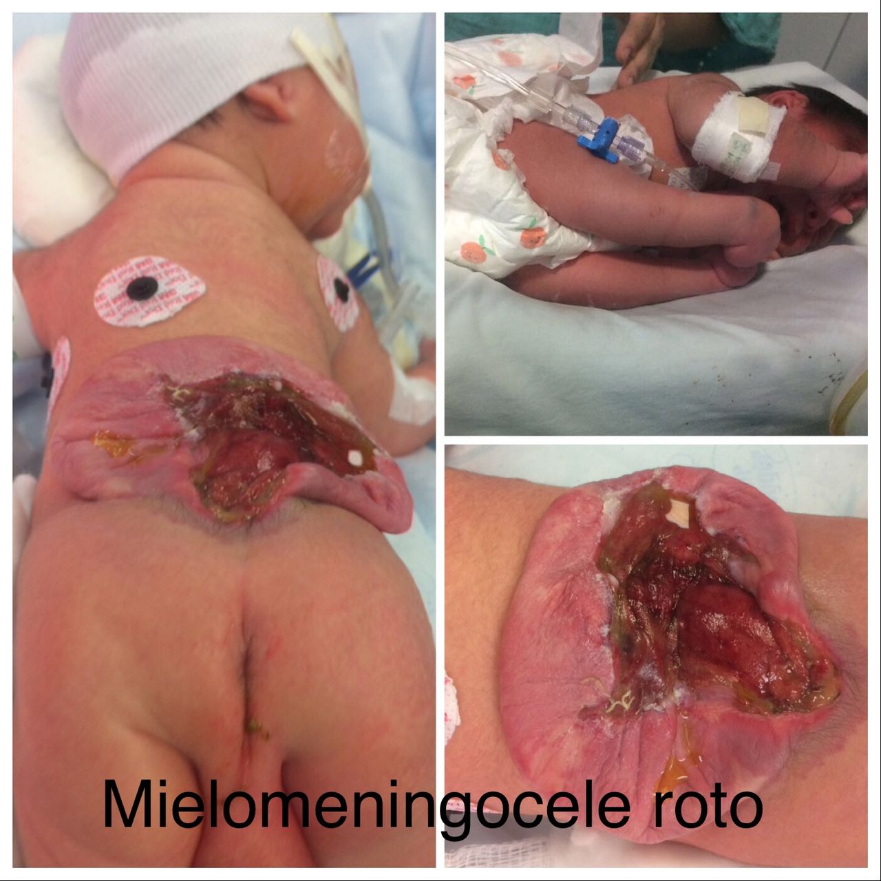 Michelle Omar Calderon Sánchez-15