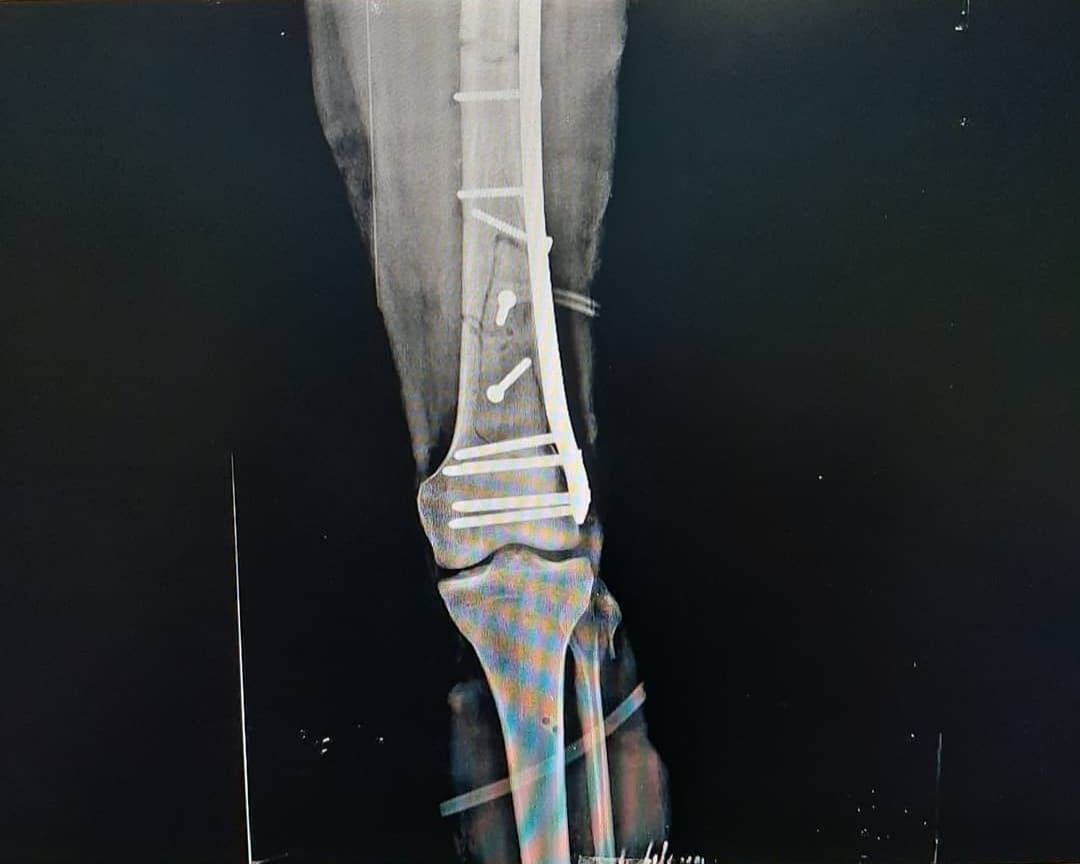 Laura Fabiola Solís Jiménez-4