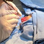 Wendy Carolina González Hernández-3