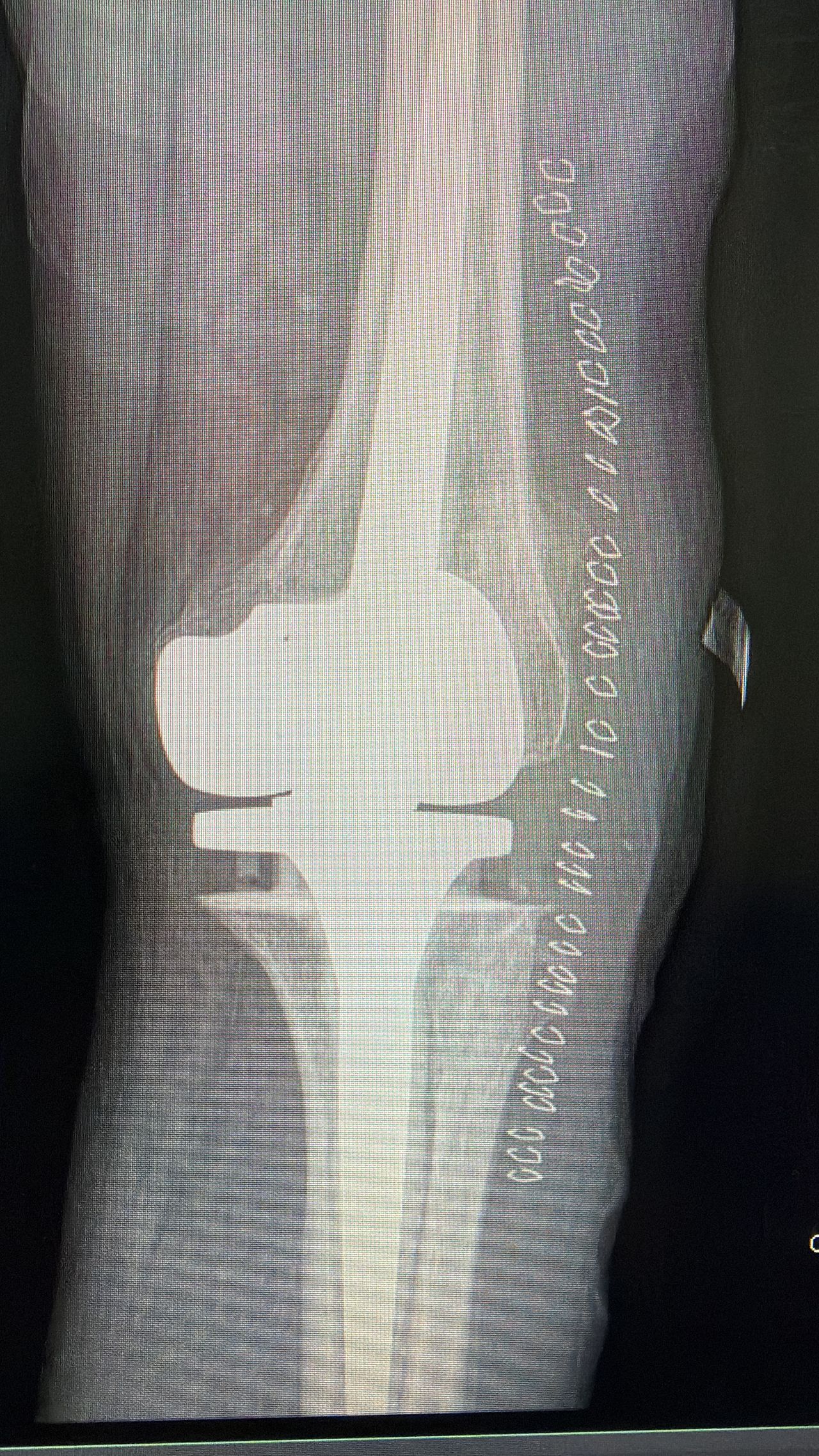 Orli Salinas Velazquez-2