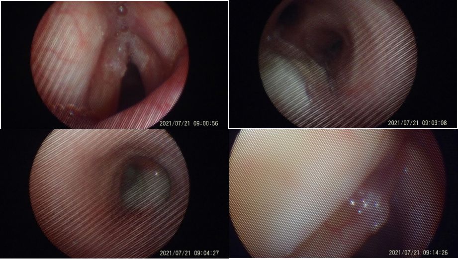 Alejandro Marin Castañeda Baron-4