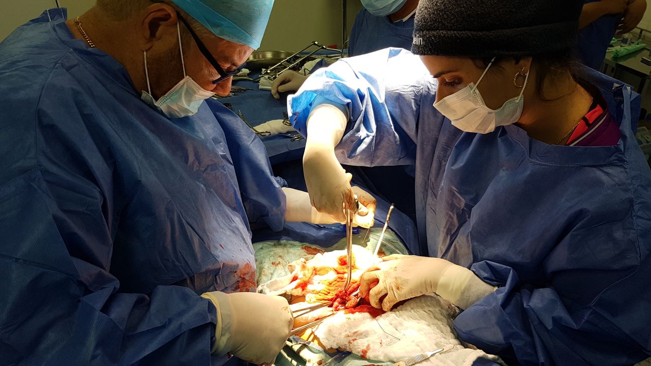 Yudeisy Olivera Gil-14