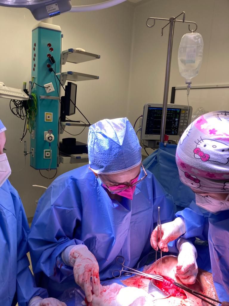 María José Chiriboga Zambrano-15