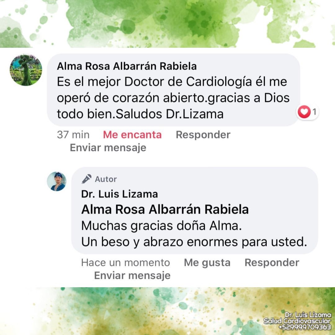 Luis Daniel Lizama Rodrí­guez-13