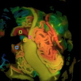 Alejandro Serrano Rubio-13