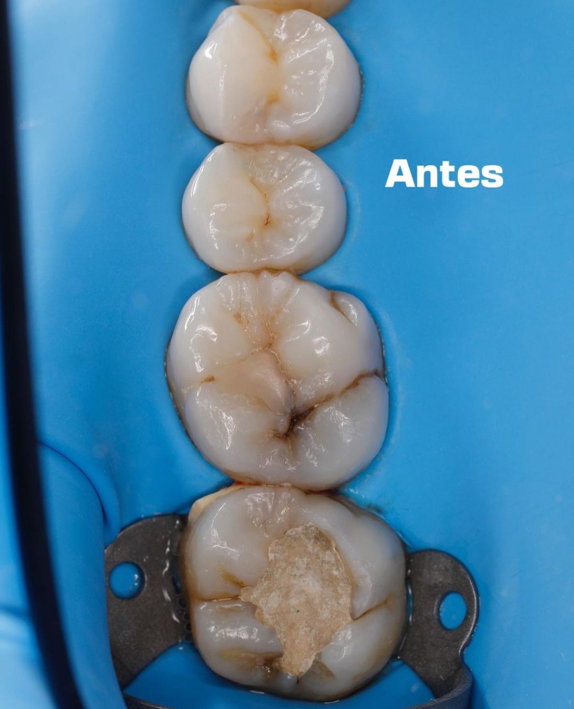 Andrea A. Garcia Garnica-3