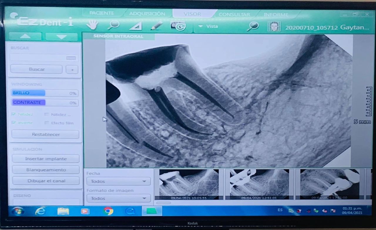 Gloria Alejandra Avila Dueñas-1