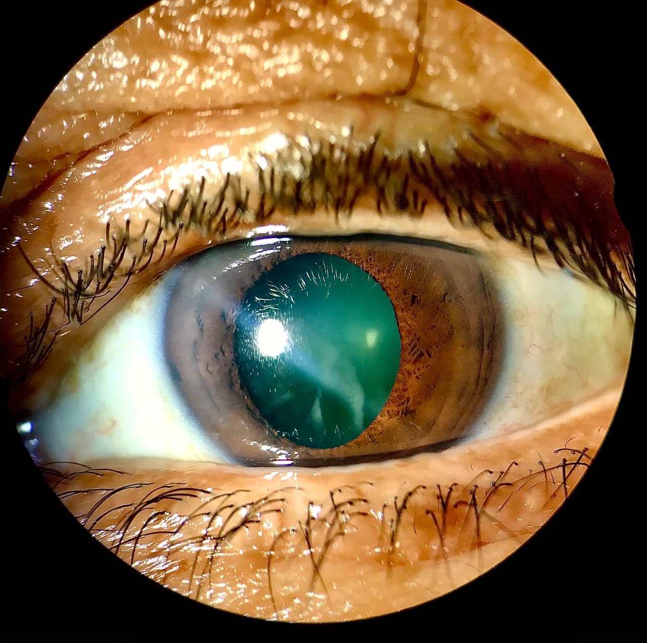 Jennifer Montoya Silva-21