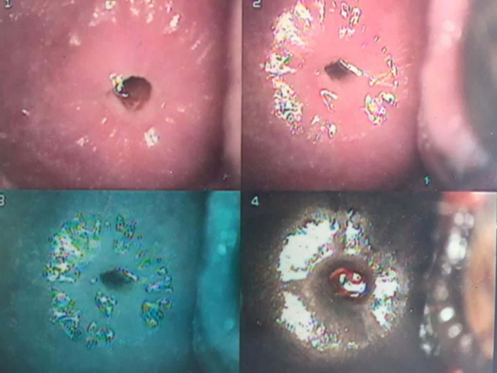 Alfredo Mendez Samano-18