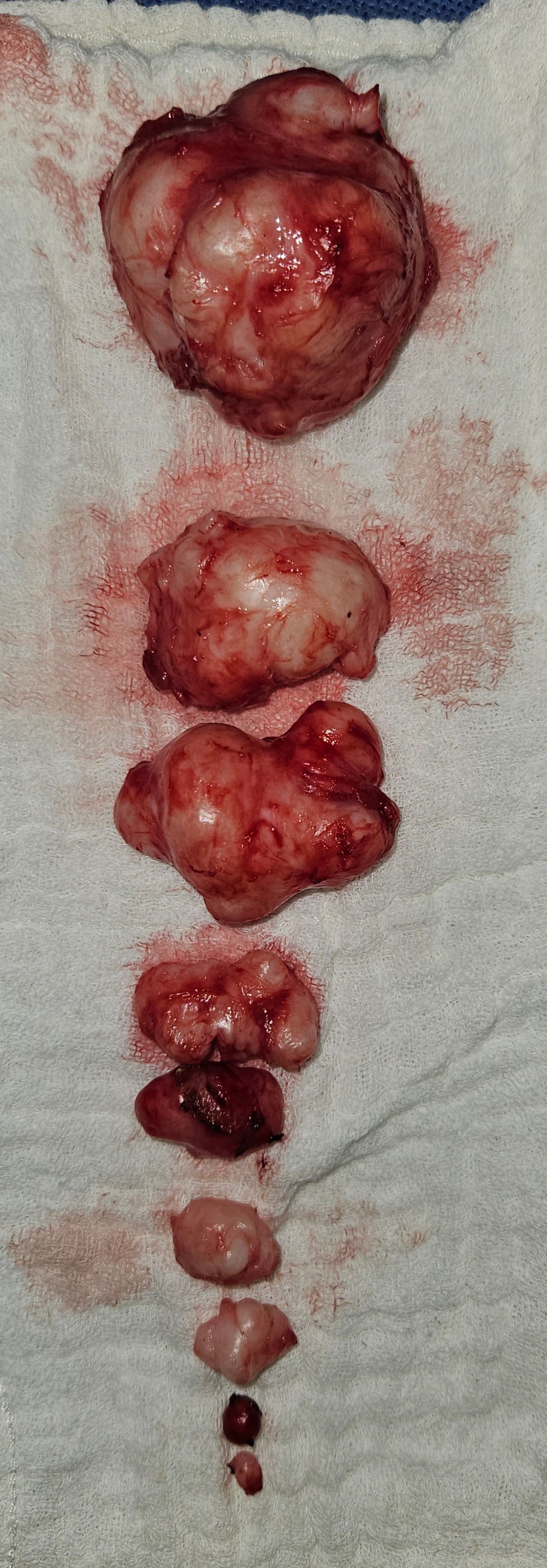 Martha Helena Cabezas Pérez-21