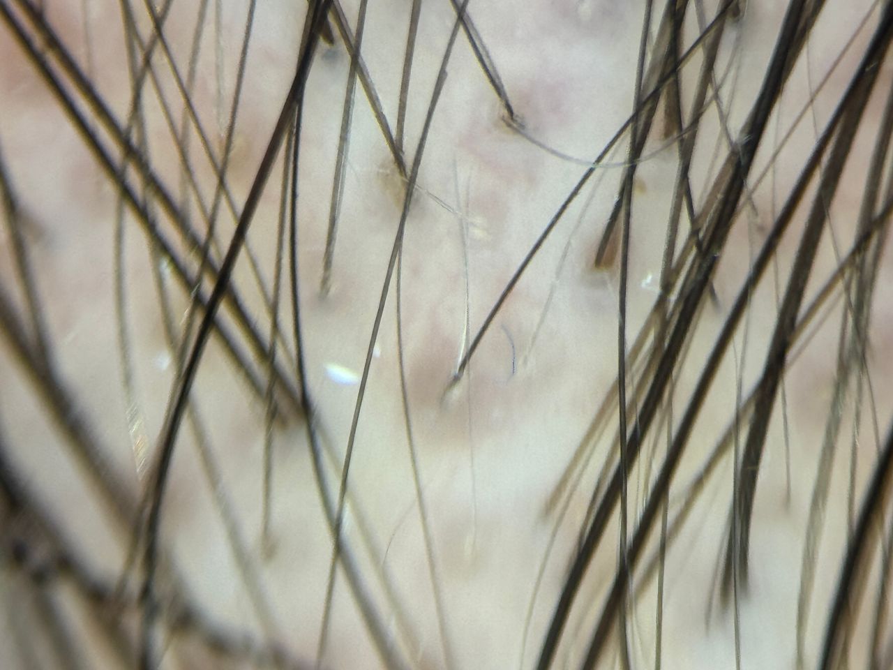 Sebastian Rodriguez-5