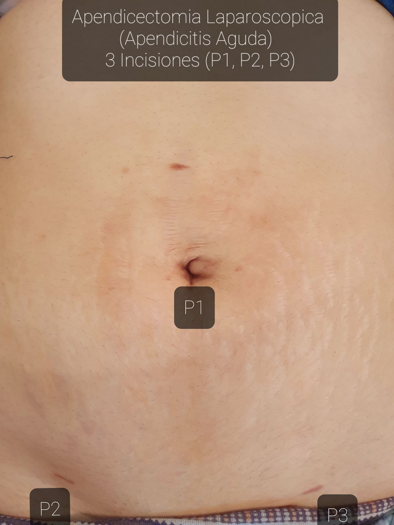 Jesús Navarro Esparza-6