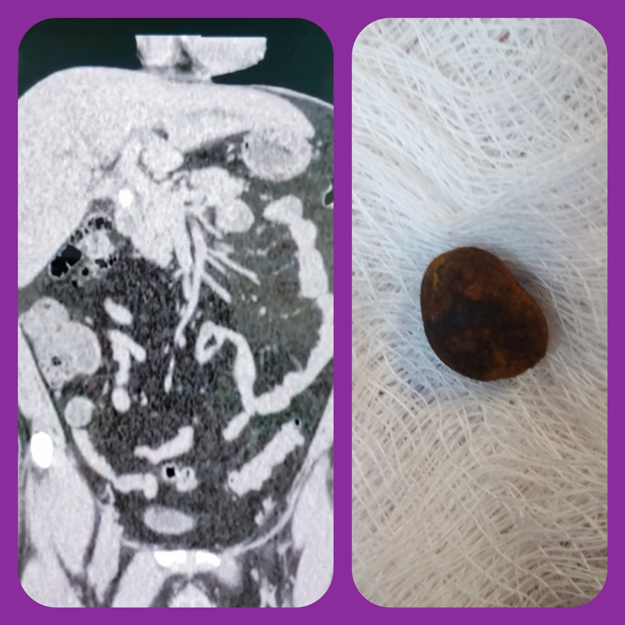 Elizabeth Charrez Guerrero-14