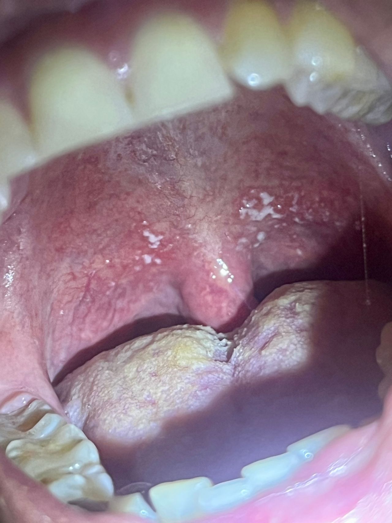 Rogelio Hernández García-28