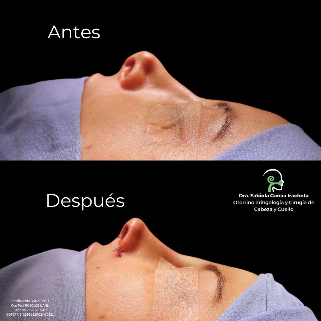 Fabiola García Iracheta-15