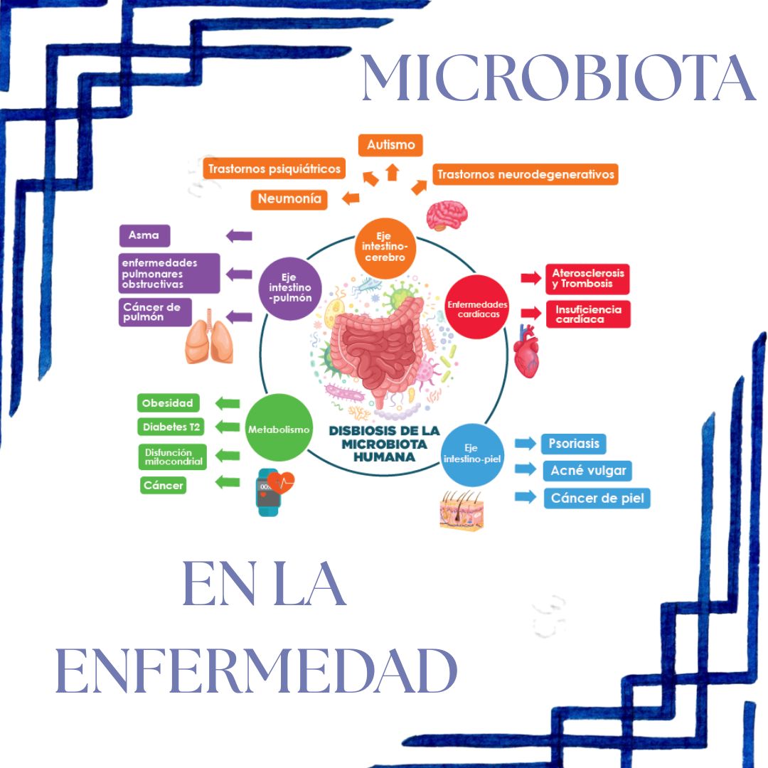 Maria Fernanda Frausto Mendoza-2