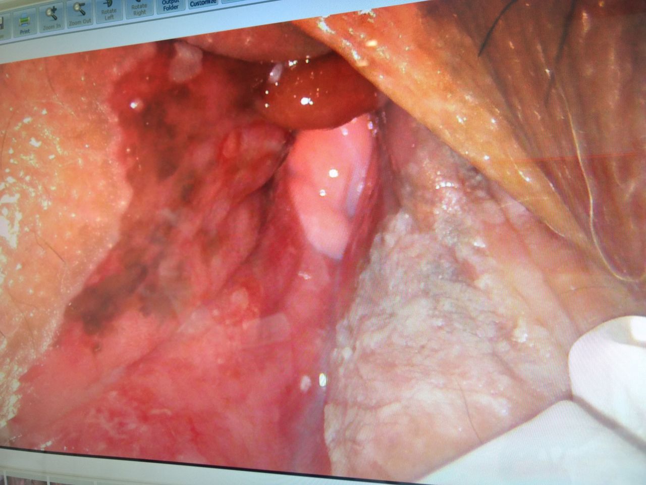 Auria Viridiana Avendaño Perez-7