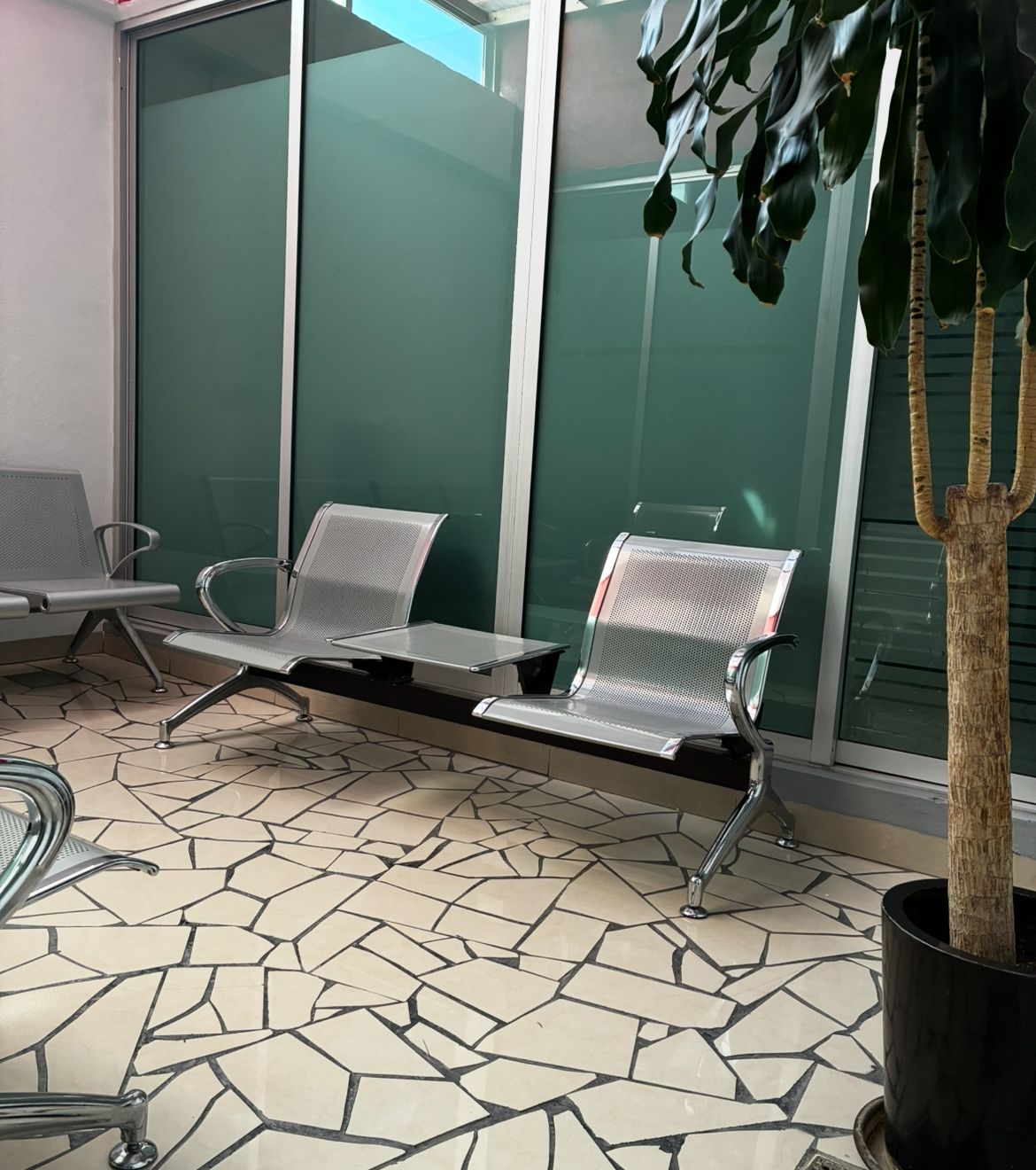 Cecilia Muñoz López-2