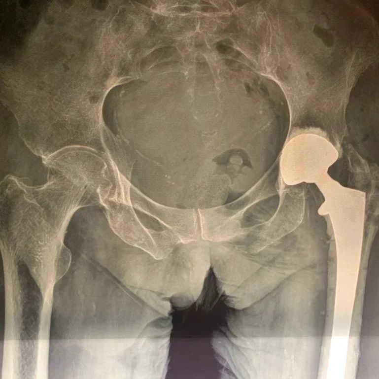 Alejandro Martínez Ramírez-6