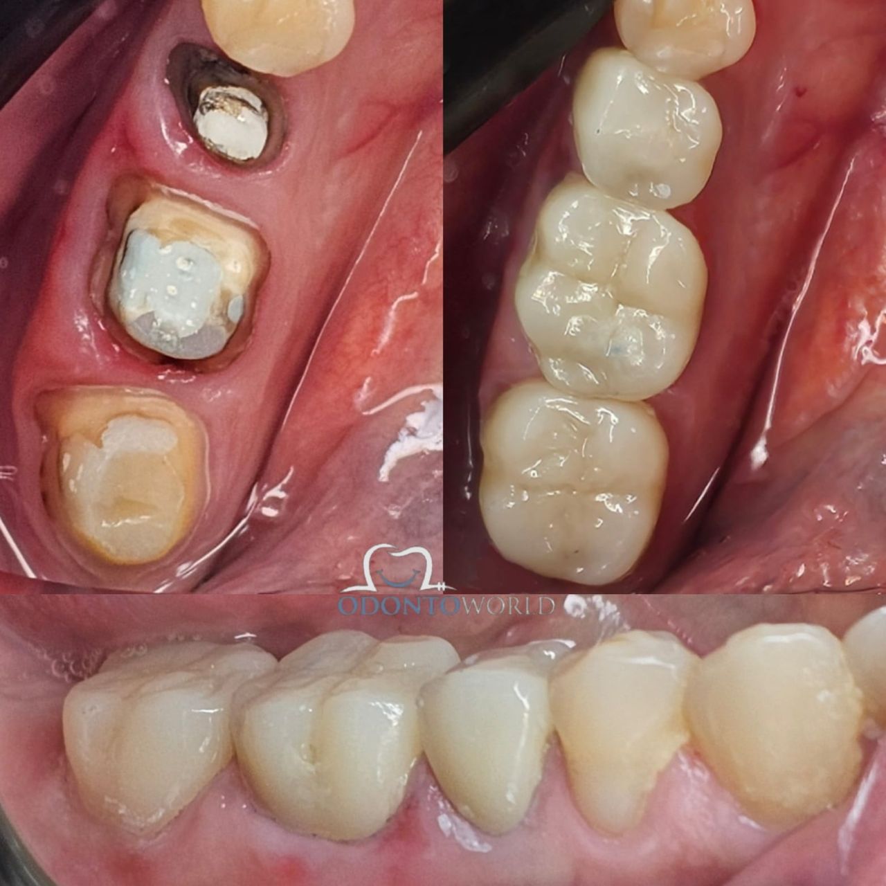 María Rossana Robles Sánchez-16