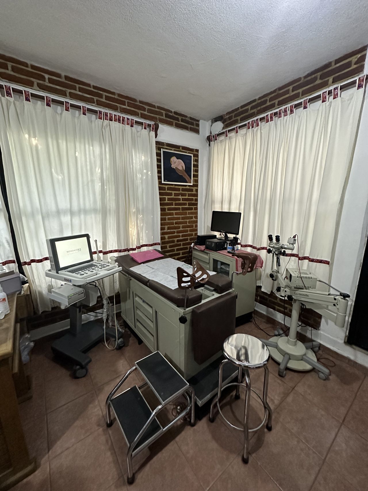 Petra Román Bravo-0