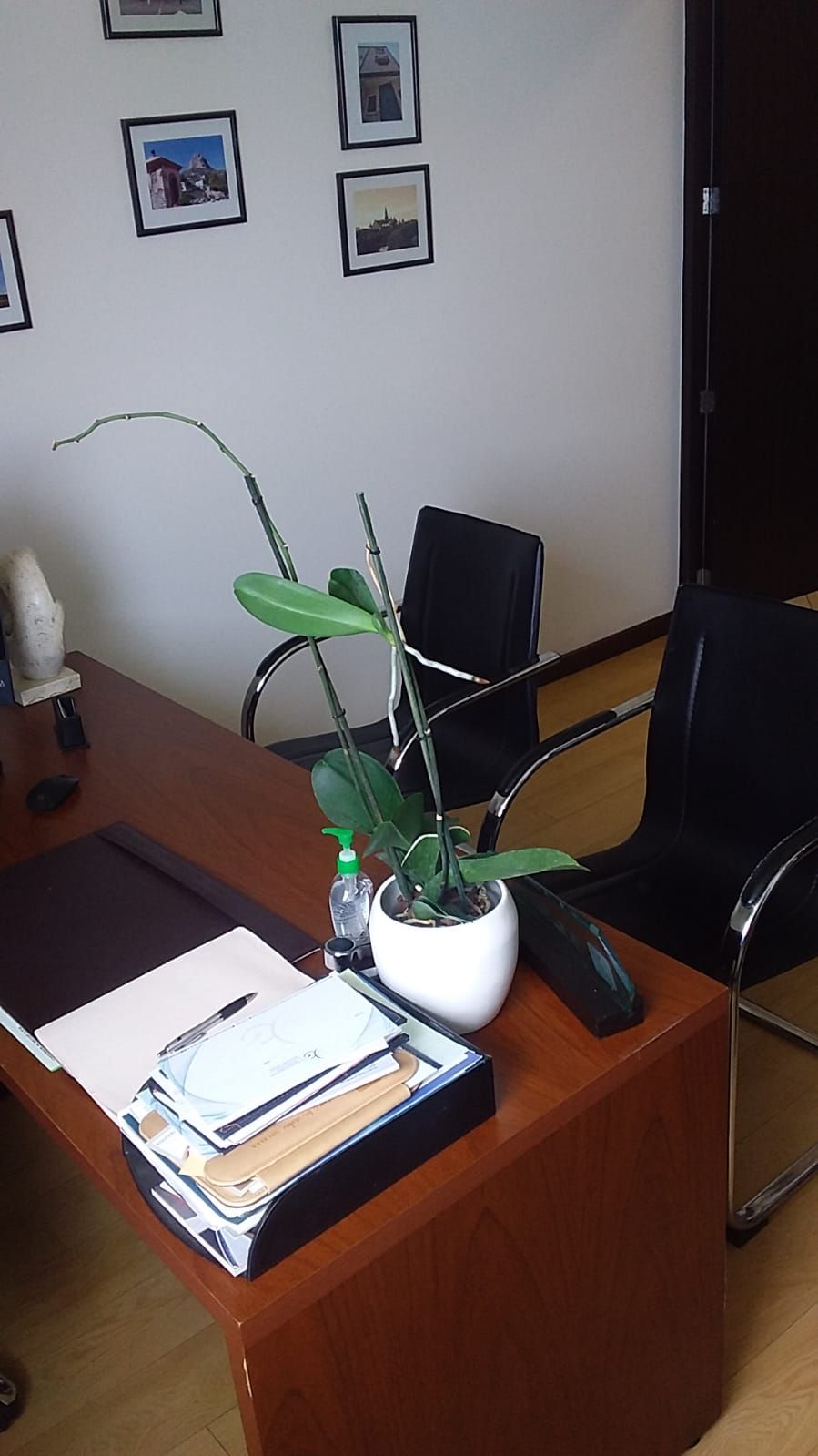 Matilde Ruiz Rodríguez-10