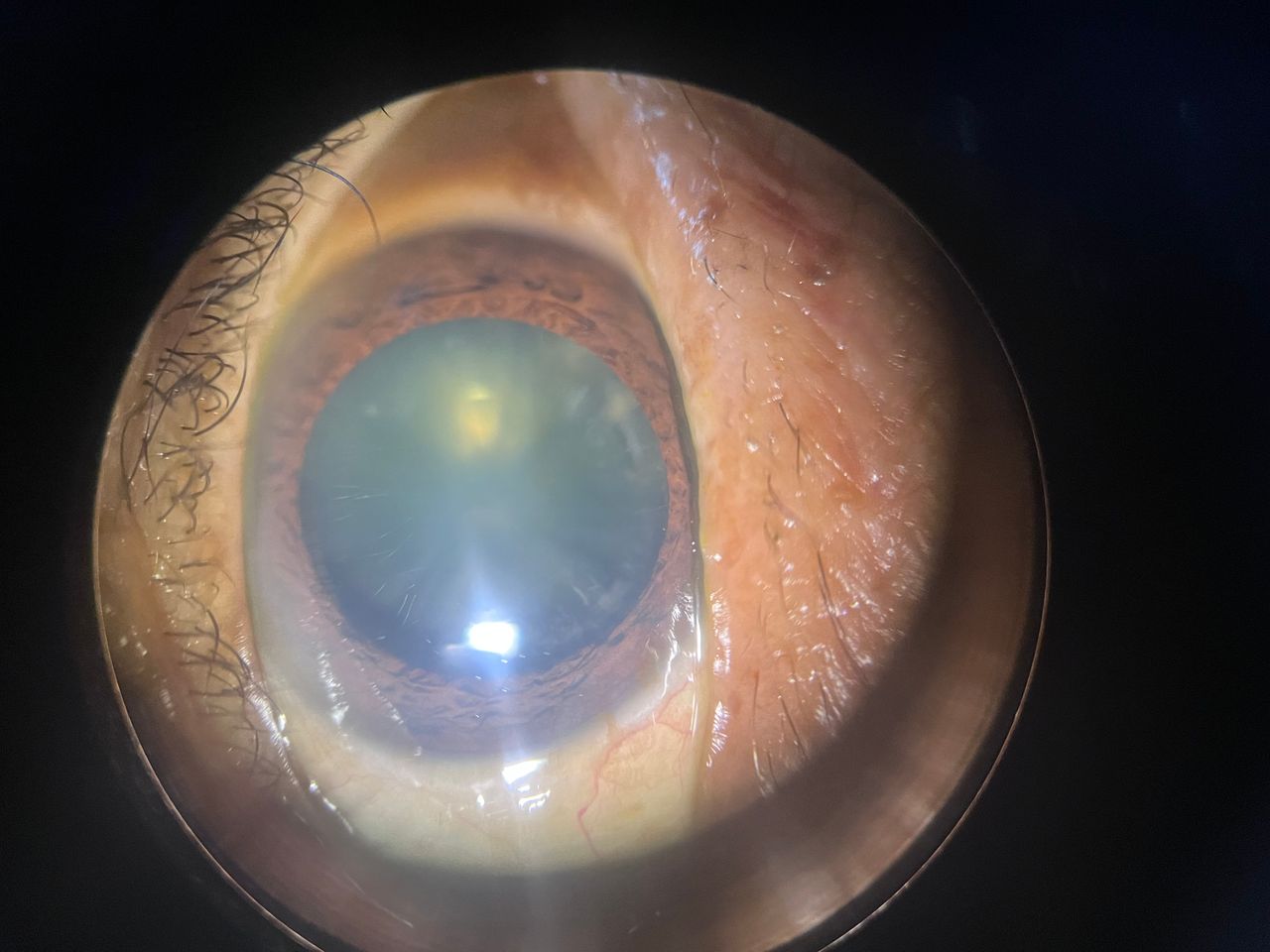 Janet Miriam Galicia Del Castillo-2