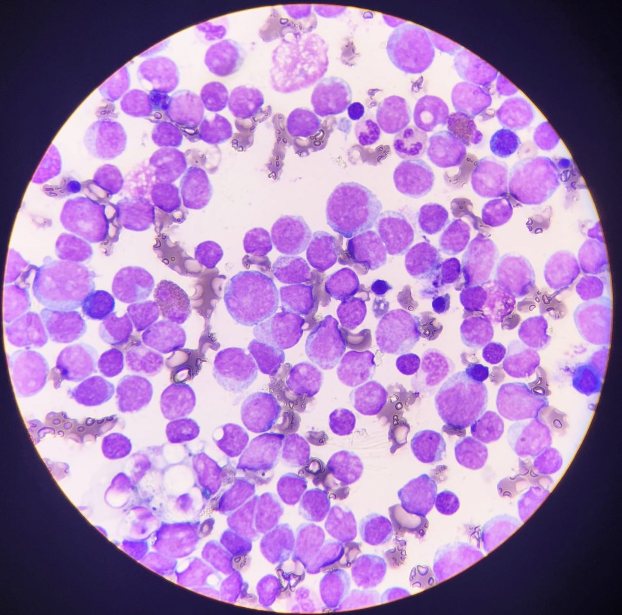 Maricela Cerecedo Cebedeo-1