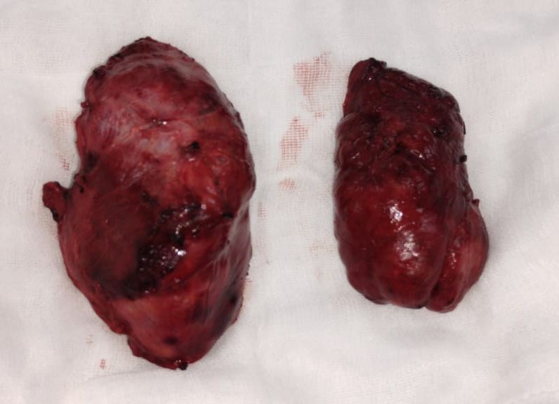 Jose Abraham Sauceda Ramirez-7