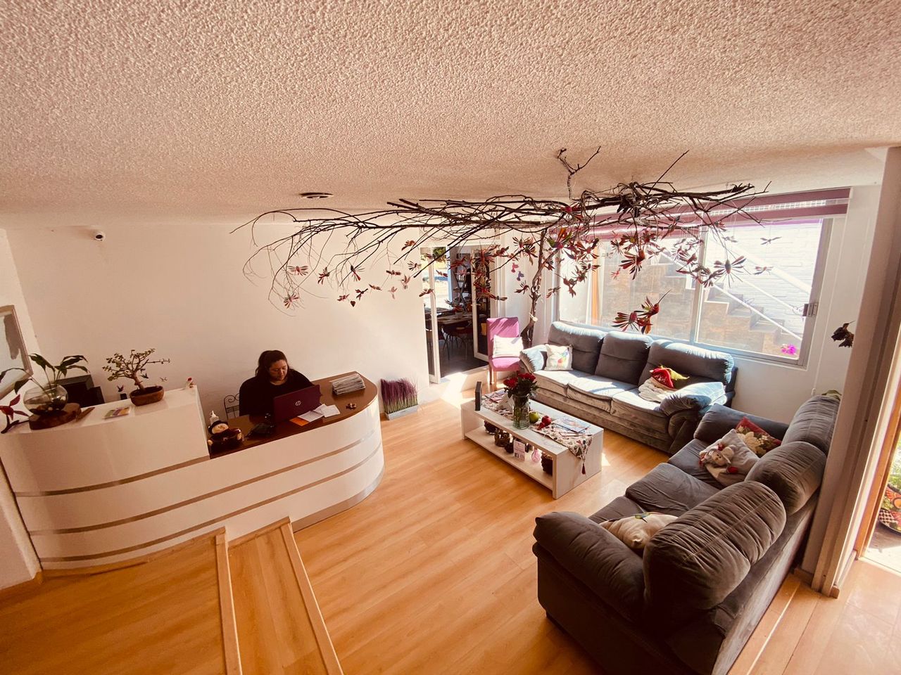 Nancy Hernández Becerra-9