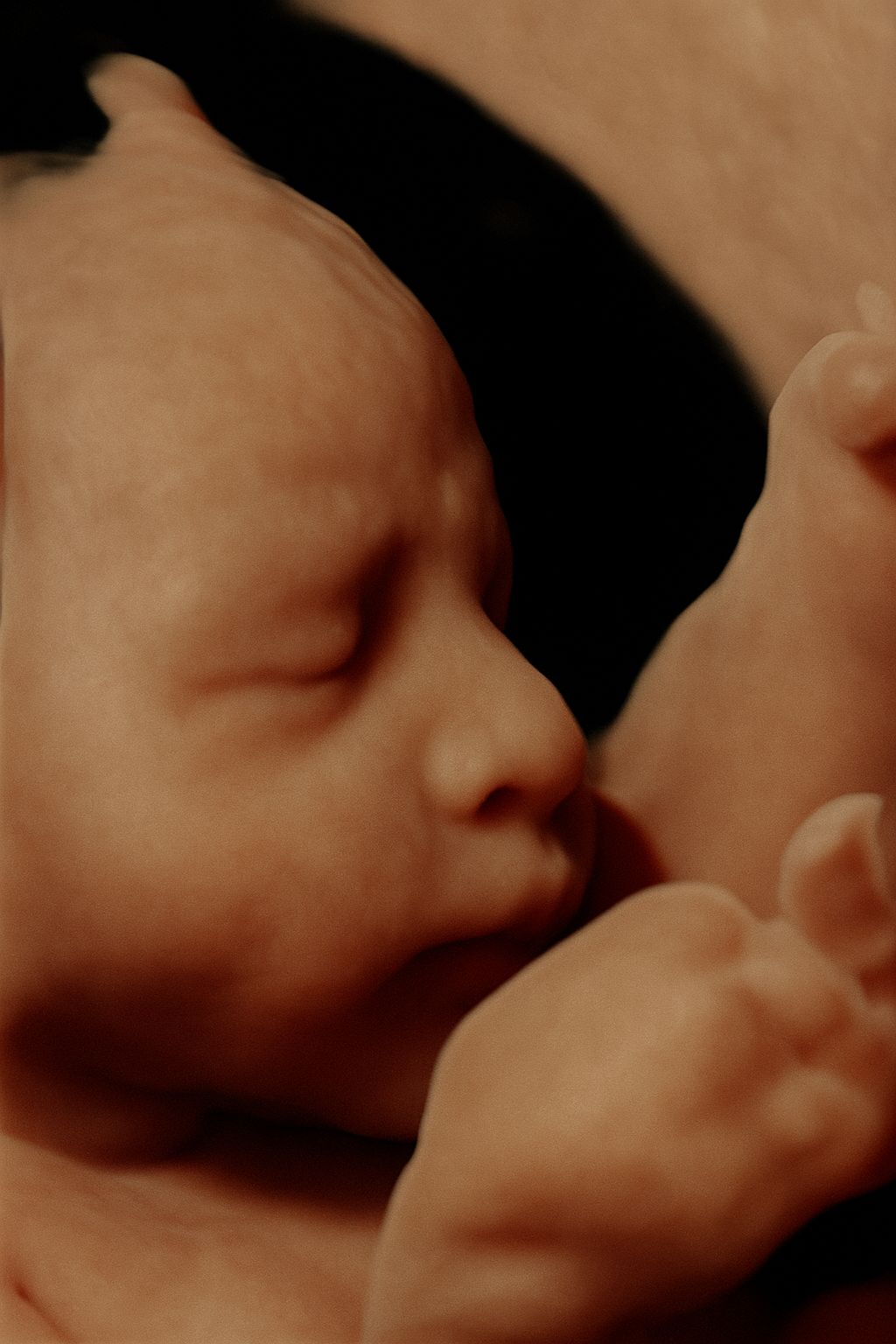 Adrian Estrada Campos-22