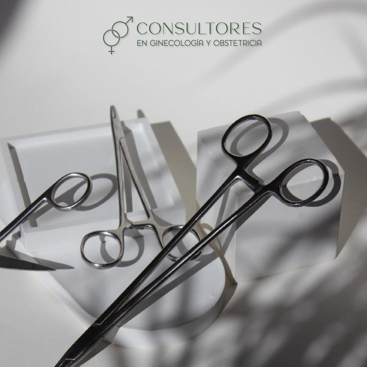 José Carlos Salazar Trujillo-15