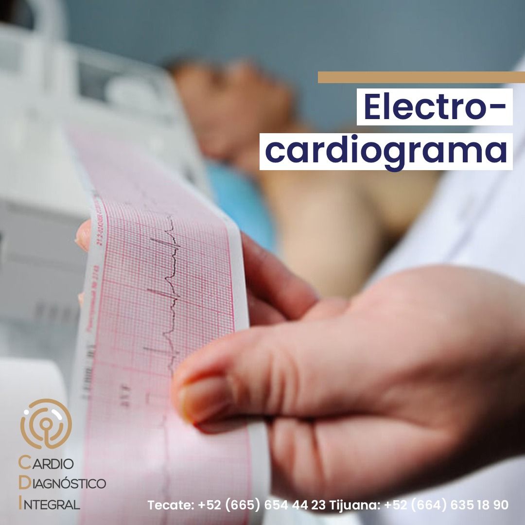 Leonardo Ivan Gómez Cuevas-4