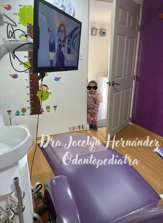 Jocelyn Hernández Ramírez-2