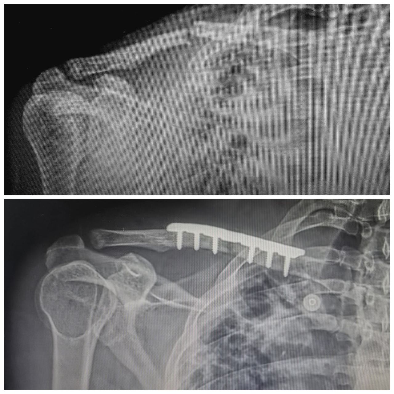 Rogelio Nieves Villa-5