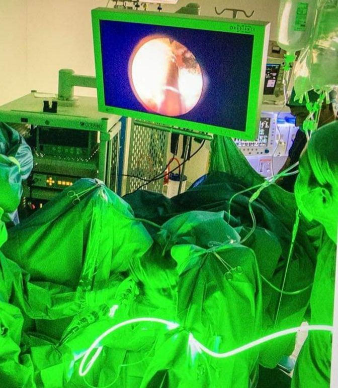 Francisco Emmanuel Navarrete Hernández-10