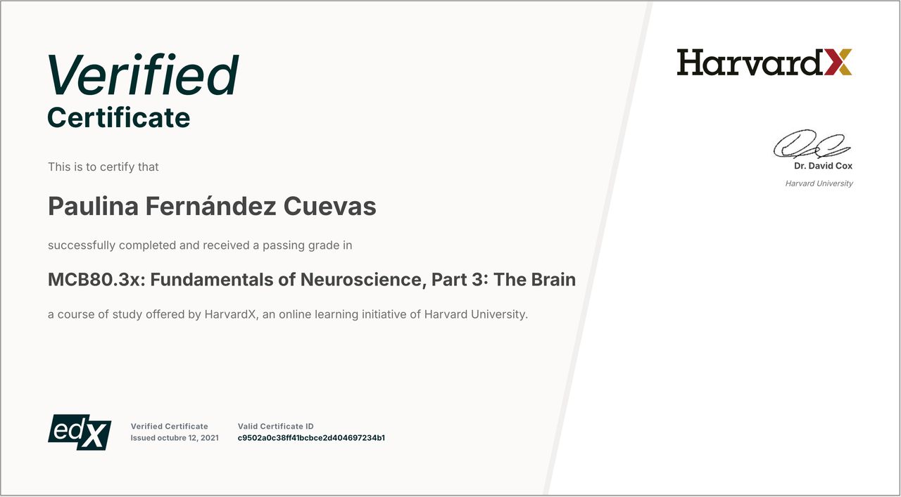 Paulina Fernández Cuevas-4