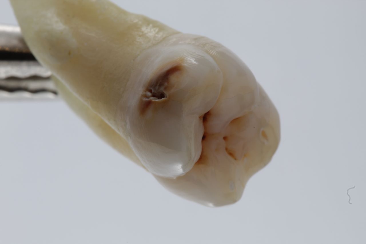 Martha Valeria Barragan Jimenez-4