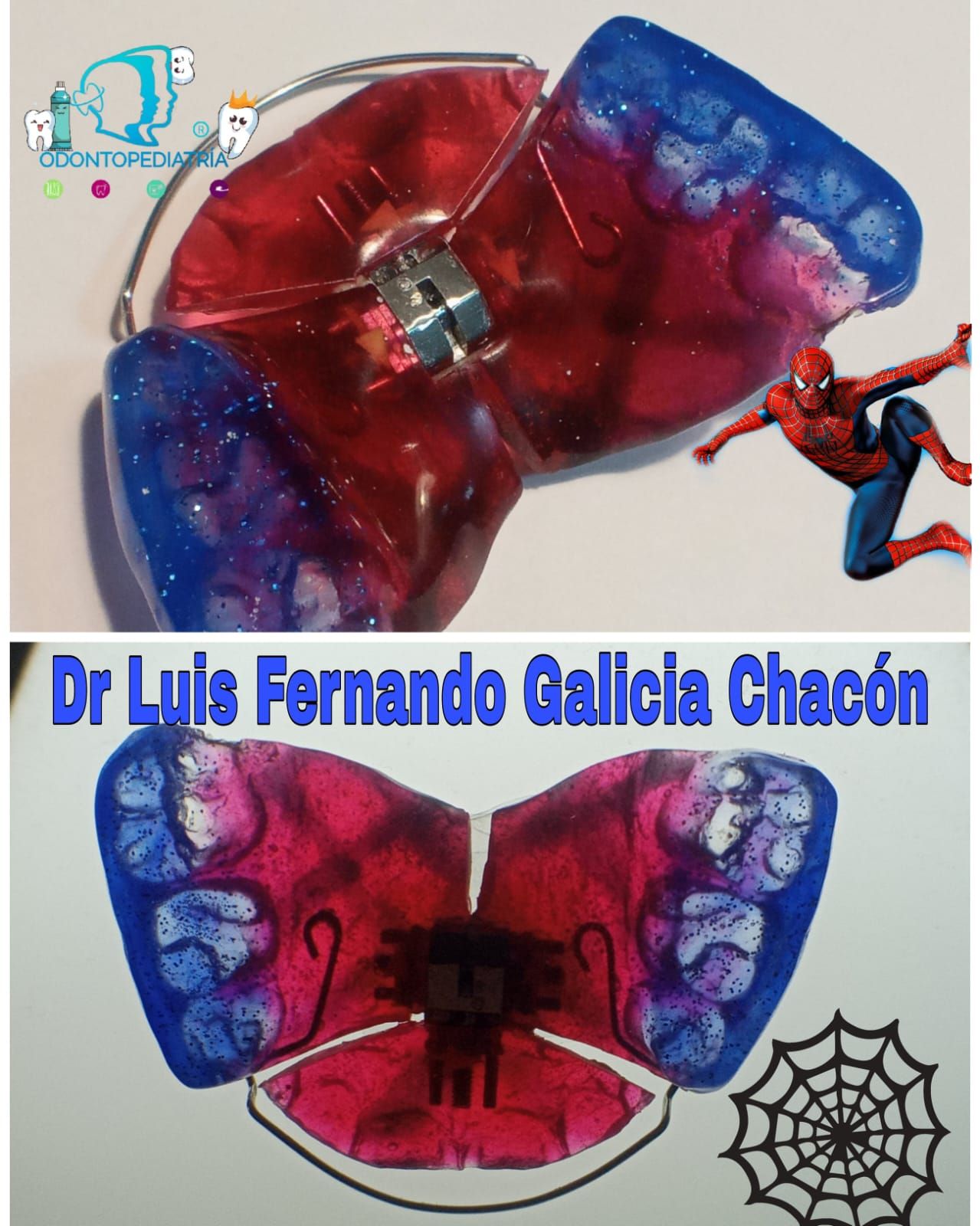 Luis Fernando Galicia Chacón-25