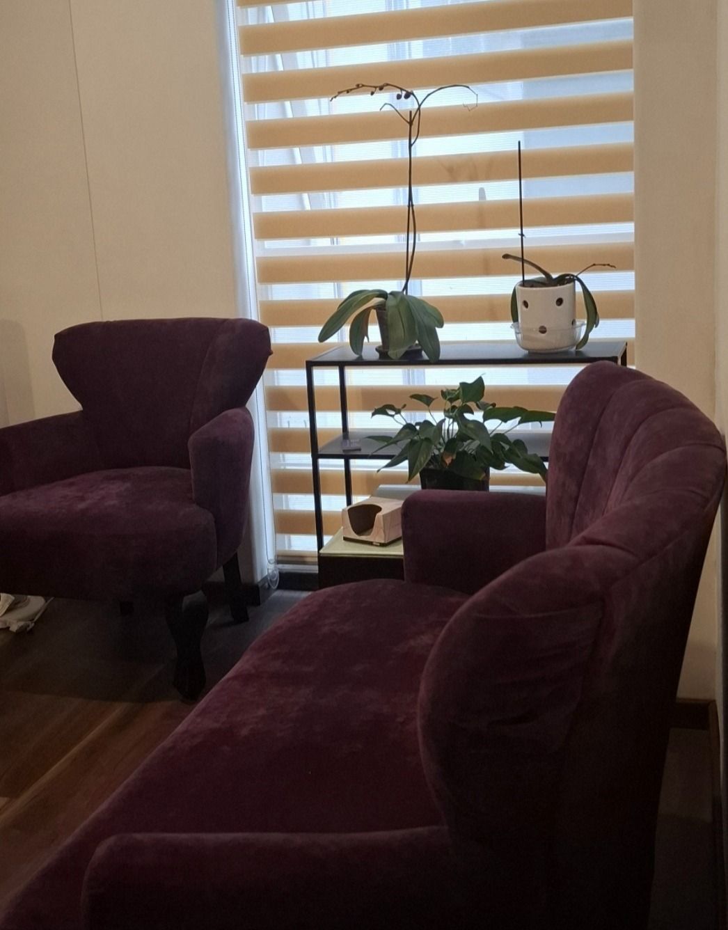 Maria Guadalupe Reyes Villicaña-1