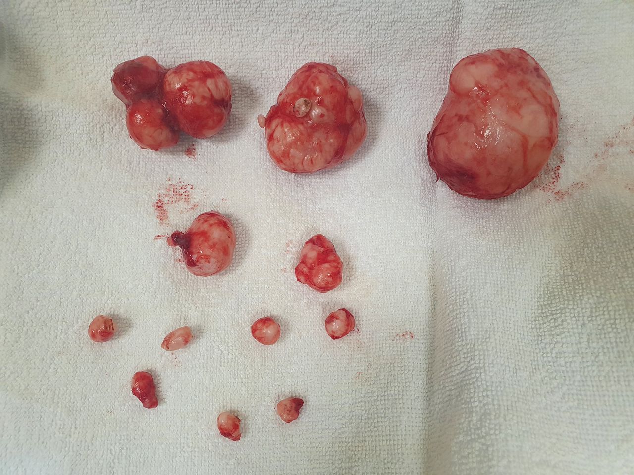 Martha Helena Cabezas Pérez-17