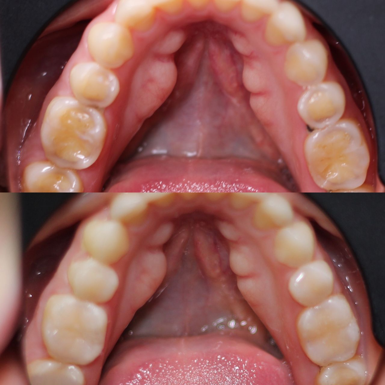 Angelica Najera Munguía-3