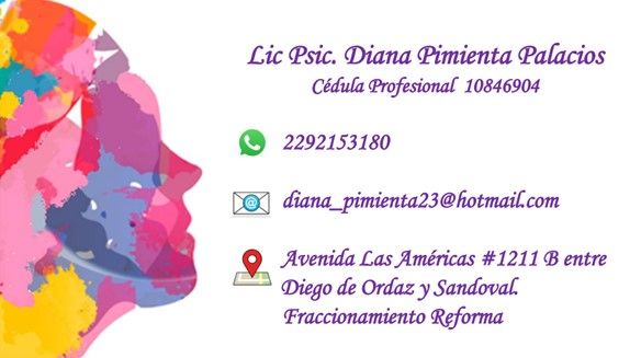 Diana Laura Pimienta Palacios-1