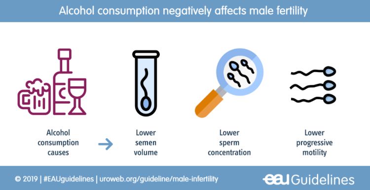 Alejandro Ibarra Ordóñez-18