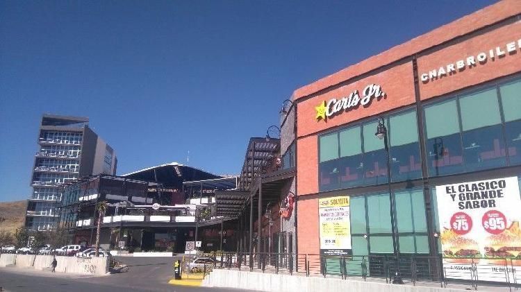 María Guadalupe De La Rosa González-0