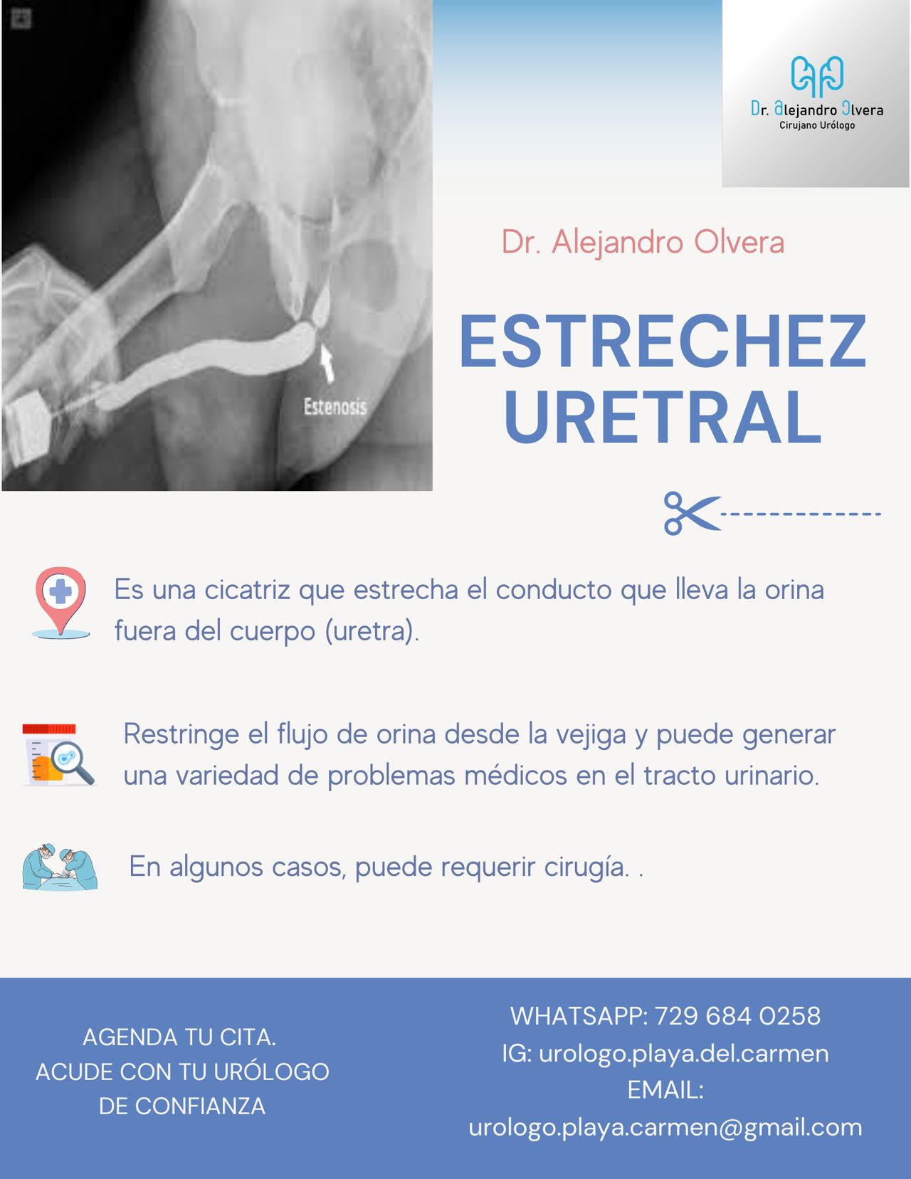 Alejandro Olvera Lozornio-10