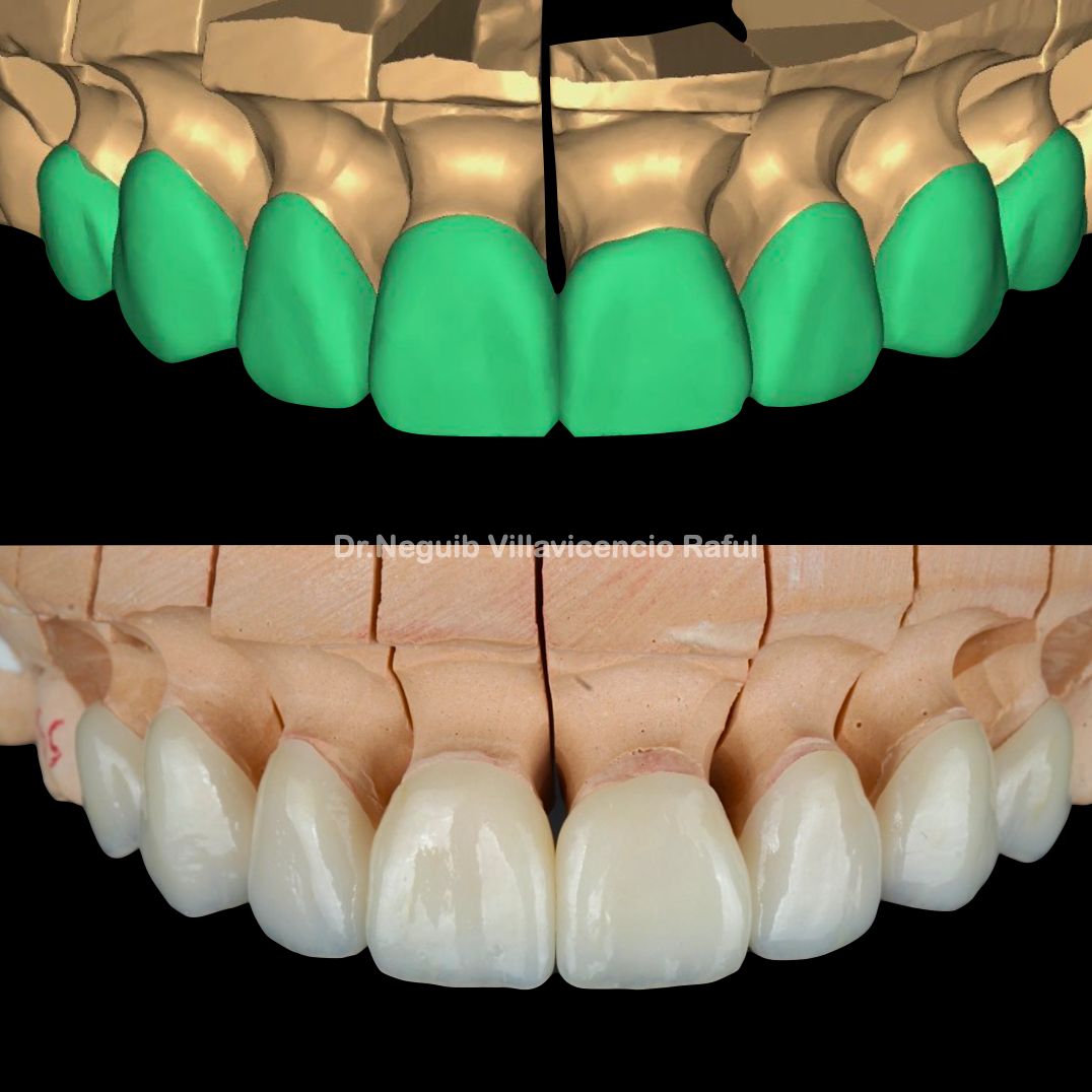 Neguib Villavicencio Raful-10