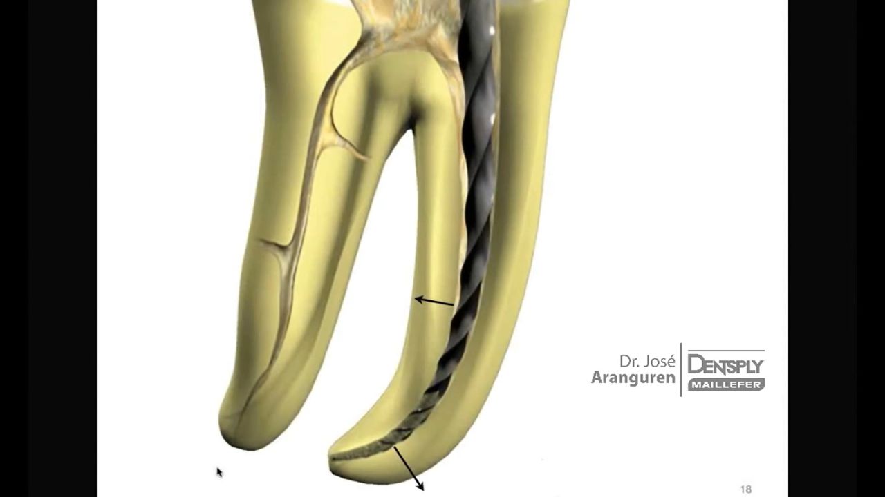 Alberto Rivera Nava-10